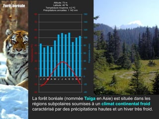 Altitude: 73 m
Forêt boréale                                            Latitude: 46 ºN
                                                Température moyenne: 4,2 ºC
                                              Précipitations annuelles: 1 142 mm
                                    80                                             160


                                    70                                             140


                                    60                                             120


                                    50                                             100




                                                                                         Précipitations (mm)
                Températures (ºC)




                                    40                                             80


                                    30                                             60


                                    20                                             40


                                    10                                             20


                                     0                                             0
                                          J   F M A M J         J   A S O N D

                                    -10                                            -20


                                    -20                                            -40


                         La forêt boréale (nommée Taïga en Asie) est située dans les
                         régions subpolaires soumises à un climat continental froid
                         caractérisé par des précipitations hautes et un hiver très froid.
 