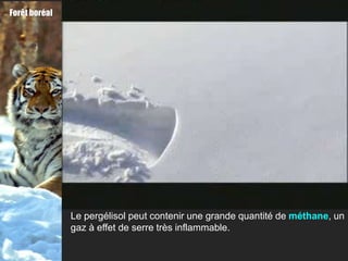 Forêt boréal




               Le pergélisol peut contenir une grande quantité de méthane, un
               gaz à effet de serre très inflammable.
 