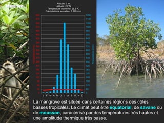 Altitude: 2 m
Mangrove                                         Latitude: 21 ºN
                                       Température moyenne: 25,3 ºC
                                      Précipitations annuelles: 3 899 mm
                               600                                         1200
                               570                                         1140
                               540                                         1080
                               510                                         1020
                               480                                         960
                               450                                         900
                               420                                         840
                               390                                         780




                                                                                  Précipitations (mm)
           Températures (ºC)




                               360                                         720
                               330                                         660
                               300                                         600
                               270                                         540
                               240                                         480
                               210                                         420
                               180                                         360
                               150                                         300
                               120                                         240
                                90                                         180
                                60                                         120
                                30                                         60
                                 0                                         0
                                     J F M A M J       J A S O N D


             La mangrove est située dans certaines régions des côtes
             basses tropicales. Le climat peut être équatorial, de savane ou
             de mousson, caractérisé par des températures très hautes et
             une amplitude thermique très basse.
 