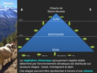 Montagne
                                             Cliserie de
               N                                                           S
                                           Sierra Nevada

           2 000 m                             ALPIN




           1 000 m                         MONTAGNARD




                                              BASAL

                     Maquis   Chêne-vert          Chêne-pédonculé   Prés


            La végétation climacique (groupement végétal stable
            déterminé par l'environnement climatique) est distribuée sur
            plusieurs étages : basal, montagnard et alpin.
            Ces étages peuvent être représentes à travers d’une cliserie.
 