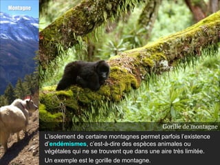 Montagne




                                                   Gorille de montagne
                                        Montagnes de Virunga ( 4 507 m)
           L’isolement de certaine montagnes permet parfois l’existence
           d’endémismes, c’est-à-dire des espèces animales ou
           végétales qui ne se trouvent que dans une aire très limitée.
           Un exemple est le gorille de montagne.
 
