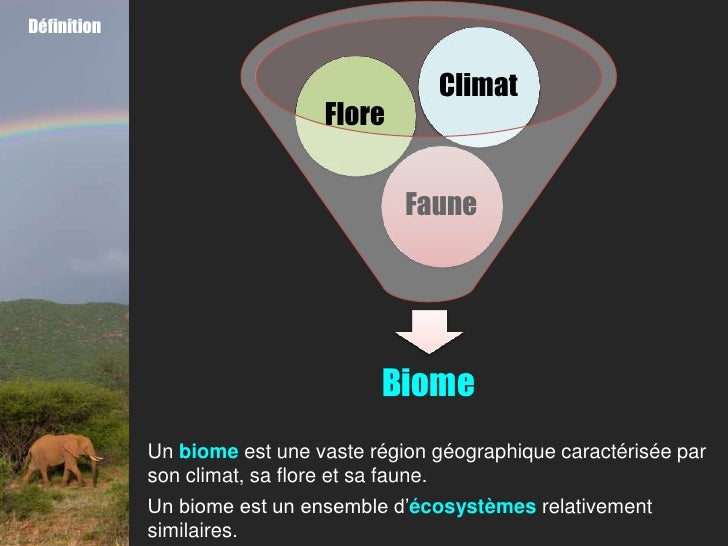 Les biomes Les biomes