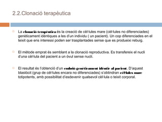 2.2.Clonació terapèutica







La clonació terapèutica és la creació de cèl·lules mare (cèl·lules no diferenciades)
genèticament idèntiques a les d’un individu ( un pacient). Un cop diferenciades en el
teixit que ens interessi poden ser trasplantades sense que es produeixi rebuig.
El mètode emprat és semblant a la clonació reproductiva. Es transfereix el nucli
d’una cèl·lula del pacient a un òvul sense nucli.
El resultat és l’obtenció d’un embrió genèticament idèntic al pacient. D’aquest
blastòcit (grup de cèl·lules encara no diferenciades) s’obtindran cèl·lules mare
totipotents, amb possibilitat d’esdevenir qualsevol cèl·lula o teixit corporal.

 