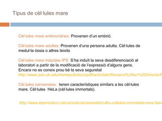 Tipus de cèl·lules mare

Cèl·lules mare embrionàries: Provenen d’un embrió.
Cèl·lules mare adultes: Provenen d’una persona adulta. Cèl·lules de
medul·la òssia o altres teixits

Cèl·lules mare induïdes IPS: S’ha induït la seva desdiferenciació al
laboratori a partir de la modificació de l’expressió d’alguns gens.
Encara no es coneix prou bé la seva seguretat
http://www.pcb.ub.edu/homepcb/docs/pdf/activitats/Recerca%20en%20Directe/F
Cèl.lules canceroses: tenen característiques similars a les cèl·lules
mare. Cèl·lules HeLa (cèl·lules immortals).

http://www.elperiodico.cat/ca/noticias/societat/cultiu-cellules-immortals-mes-famo

 