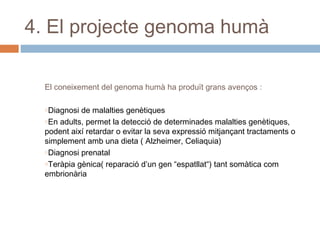 4. El projecte genoma humà
El coneixement del genoma humà ha produït grans avenços :
oDiagnosi

de malalties genètiques
oEn adults, permet la detecció de determinades malalties genètiques,
podent així retardar o evitar la seva expressió mitjançant tractaments o
simplement amb una dieta ( Alzheimer, Celiaquia)
oDiagnosi prenatal
oTeràpia gènica( reparació d’un gen “espatllat“) tant somàtica com
embrionària

 