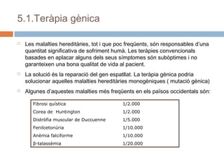 5.1.Teràpia gènica






Les malalties hereditàries, tot i que poc freqüents, són responsables d’una
quantitat significativa de sofriment humà. Les teràpies convencionals
basades en aplacar alguns dels seus símptomes són subòptimes i no
garanteixen una bona qualitat de vida al pacient.
La solució és la reparació del gen espatllat. La teràpia gènica podria
solucionar aquelles malalties hereditàries monogèniques ( mutació gènica)
Algunes d’aquestes malalties més freqüents en els països occidentals són:
Fibrosi quística

1/2.000

Corea de Huntington

1/2.000

Distròfia muscular de Duccuenne

1/5.000

Fenilcetonúria

1/10.000

Anèmia falciforme

1/10.000

β-talassèmia

1/20.000

 