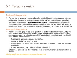 5.1.Teràpia gènica
Teràpia gènica germinal


Per corregir el gen erroni que produeix la malaltia l’hauríem de reparar en totes les
cèl·lules de l’organisme incloses les germinals. Això és impossible en un malalt,
només seria possible si corregim el gen en el zigot . La manipulació genètica de
zigots comporta greus problemes ètics i morals ja que obre les portes a la selecció
de les característiques de la nostra espècie (eugenèsia). No s’ha aplicat ara per ara.

Teràpia gènica somàtica


Permet guarir un grup de cèl·lules que formen part d’un determinat teixit. L’objectiu
de la teràpia gènica és inserir aquest gen en els teixits més afectats amb l’objectiu
que aquests funcionin millor i disminueixi l’afectació clínica del pacient. L’aplicació
de la teràpia gènica implica:

Localitzar el gen que produeix la malaltia.

Clonar la còpia “correcta” del gen

Inserir còpies del gen en les cèl·lules on el volem “corregir”. Ha de ser un teixit
accessible

El gen ha de funcionar correctament un cop inserit
El canvi no passarà a la descendència però el teixit funcionarà correctament en el
pacient.

http://www.clinigene.eu/video-intro-gene-therapy.html

 