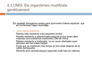 4.3.OMG: Els organismes modificats
genèticament

Els vegetals transgènics porten gens provinents d’altres espècies que
els confereixen algun avantatge


Amb interès econòmic
Plantes més resistents a les sequeres (arròs)
Plantes resistents a determinades plagues ja que tenen elles
mateixes una substància insecticida ( blat de moro)
Plantes resistents a herbicides, no es veuen afectades quan
eliminem així les males herbes
Fruits que es mantenen més temps en bon estat després de la
collita (tomàquets)
Aliments amb característiques especials (cafè baix en cafeïna)

 