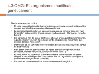 4.3.OMG: Els organismes modificats
genèticament
Alguns arguments en contra:

El cultiu generalitzat de plantes transgèniques produeix contaminació genètica
que pot tenir efectes greus sobre els ecosistemes

La comercialització de llavors transgèniques que cal comprar cada any (gen
terminator) esta en mans d’unes poques multinacionals ( Montsanto, Novartis,
Bayer )

Els agricultors han de signar contractes abusius amb aquestes multinacionals.
A part de les llavors, han de comprar també els productes fitosanitaris que
aquests conreus necessiten.

Disminució de les varietats de conreu locals ben adaptades a la zona ( pèrdua
de biodiversitat)

No s’estan avaluant correctament els riscos sanitaris que poden produir
(al·lèrgies, efectes inesperats, aparició de tòxics nous...)

El consumidor no pot decidir ja que els aliments comercialitzats no estan
obligats a indicar l’origen dels components friut de l’agricultura transgènica
( només els biològics no en contenen)

Contaminen la resta de cultius propers que no són transgènics

 