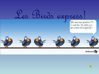 Les Birds express!
 