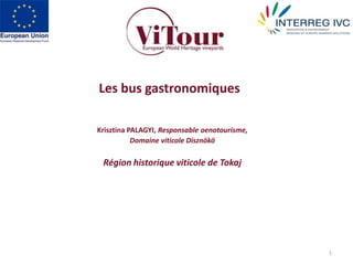 1 Les bus gastronomiques  Krisztina PALAGYI, Responsable oenotourisme,  Domaine viticole Disznökö Région historique viticole de Tokaj 