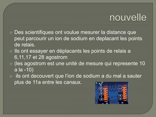    Des scientifiques ont voulue mesurer la distance que
    peut parcourir un ion de sodium en deplacant les points
    de relais.
   Ils ont essayer en déplacants les points de relais a
    6,11,17 et 28 agostrom
   (les agostrom est une unité de mesure qui represente 10
    a la -10)
    ils ont decouvert que l’ion de sodium a du mal a sauter
    plus de 11a entre les canaux.
 