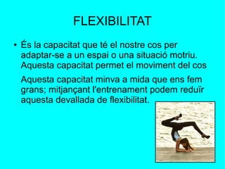 FLEXIBILITAT 
● És la capacitat que té el nostre cos per 
adaptar-se a un espai o una situació motriu. 
Aquesta capacitat permet el moviment del cos 
Aquesta capacitat minva a mida que ens fem 
grans; mitjançant l'entrenament podem reduïr 
aquesta devallada de flexibilitat. 
 
