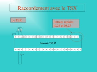Raccordement avec le TSX

Le TSX                                                          Entrées rapides
                                                                I0,24 et I0,25
       220 V ~
  XN    X 220




                                                                         C
       N    L    C0   0   C1   1   C2   2   C3   3 C4.7 4   5   6   7   8.11
                                                                               8   9   10 11 24 25



                                            Automate TSX 17

 0V 24V 0         1   2   3    4   5    6   7    8   9   10 11 12 13 14 15 16 17 18 29 20 21


                1S1
 