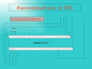 Raccordement avec le TSX

 Le TSX et Le CODEUR

      220 V ~
 XN    X 220




                                                                        C
      N    L    C0   0   C1   1   C2   2   C3   3 C4.7 4   5   6   7   8.11
                                                                              8   9   10 11 24 25



                                           Automate TSX 17

0V 24V 0         1   2   3    4   5    6   7    8   9   10 11 12   13 14 15 16 17 18 29 20 21


               1S1
 