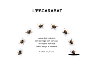 L’ESCARABAT




   L'escarabat, malcarat,
 com s'amaga, com s'amaga,
    l'escarabat, malcarat,
  com s'amaga al seu forat.

     F. Bofill, A. Puig, F. Serrat
 