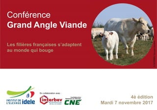 4è édition
Mardi 7 novembre 2017
Conférence
Grand Angle Viande
Les filières françaises s’adaptent
au monde qui bouge
En collaboration avec :
 