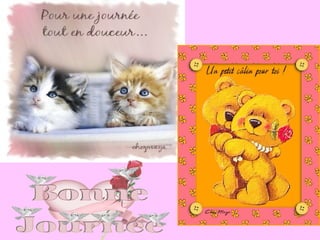 Les caresses de_la_vie