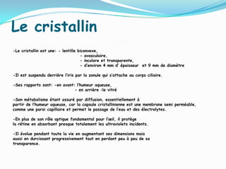 Le cristallin
-Le cristallin est une: - lentille biconvexe,
- avasculaire,
- incolore et transparente,
- d’environ 4 mm d’ épaisseur et 9 mm de diamètre
-Il est suspendu derrière l’iris par la zonule qui s’attache au corps ciliaire.
-Ses rapports sont: -en avant: l’humeur aqueuse,
- en arrière :le vitré
-Son métabolisme étant assuré par diffusion, essentiellement à
partir de l’humeur aqueuse, car la capsule cristallinienne est une membrane semi perméable,
comme une paroi capillaire et permet le passage de l’eau et des électrolytes.
-En plus de son rôle optique fondamental pour l’œil, il protège
la rétine en absorbant presque totalement les ultraviolets incidents.
-Il évolue pendant toute la vie en augmentant ses dimensions mais
aussi en durcissant progressivement tout en perdant peu à peu de sa
transparence.
 