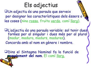 Els adjectius
Un adjectiu és una paraula que serveix
per designar les característiques dels éssers o
les coses (nina rossa, fruita verda, camí llarg).
L’adjectiu és una paraula variable: sol tenir dues
formes per al singular i dues més per al plural
(madur, madura, madurs, madures).
Concorda amb el nom en gènere i nombre.
Dins el Sintagma Nominal fa la funció de
complement del nom. El camí llarg.
 