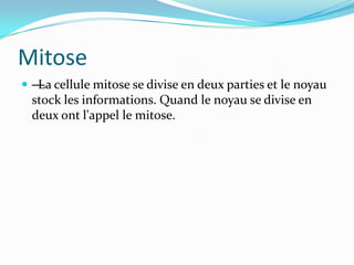 MitoseLa cellule mitose se divise en deux parties et le noyau stock les informations. Quand le noyau se divise en deux ont l'appel le mitose.