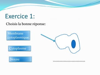 Exercice 1:
Choisis la bonne réponse:
Membrane
cytoplasmique
Cytoplasme

Noyau

……………………………….

 