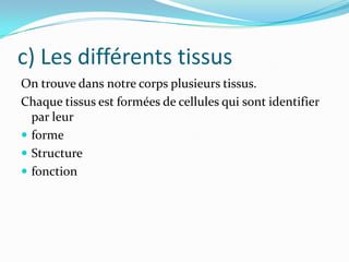 c) Les différents tissus
On trouve dans notre corps plusieurs tissus.
Chaque tissus est formées de cellules qui sont identifier
par leur
 forme
 Structure
 fonction

 