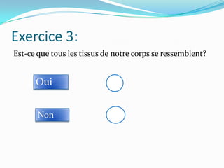 Exercice 3:
Est-ce que tous les tissus de notre corps se ressemblent?

Oui
Non

 