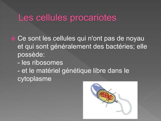  Ce sont les cellules qui n'ont pas de noyau
et qui sont généralement des bactéries; elle
possède:
- les ribosomes
- et le matériel génétique libre dans le
cytoplasme