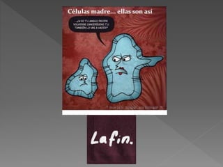 Les cellules. adrián y hugo