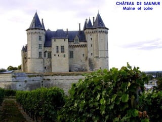 CHÂTEAU DE SAUMUR
  Maine et Loire
 