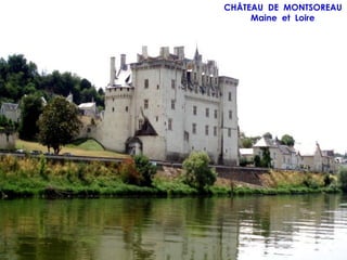 CHÂTEAU DE MONTSOREAU
     Maine et Loire
 