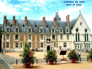 CHÂTEAU DE BOIS
  Loire et Cher
 