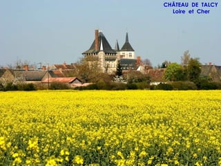 CHÂTEAU DE TALCY
  Loire et Cher
 