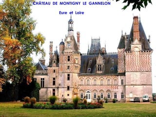 CHÂTEAU DE MONTIGNY LE GANNELON

          Eure et Loire
 
