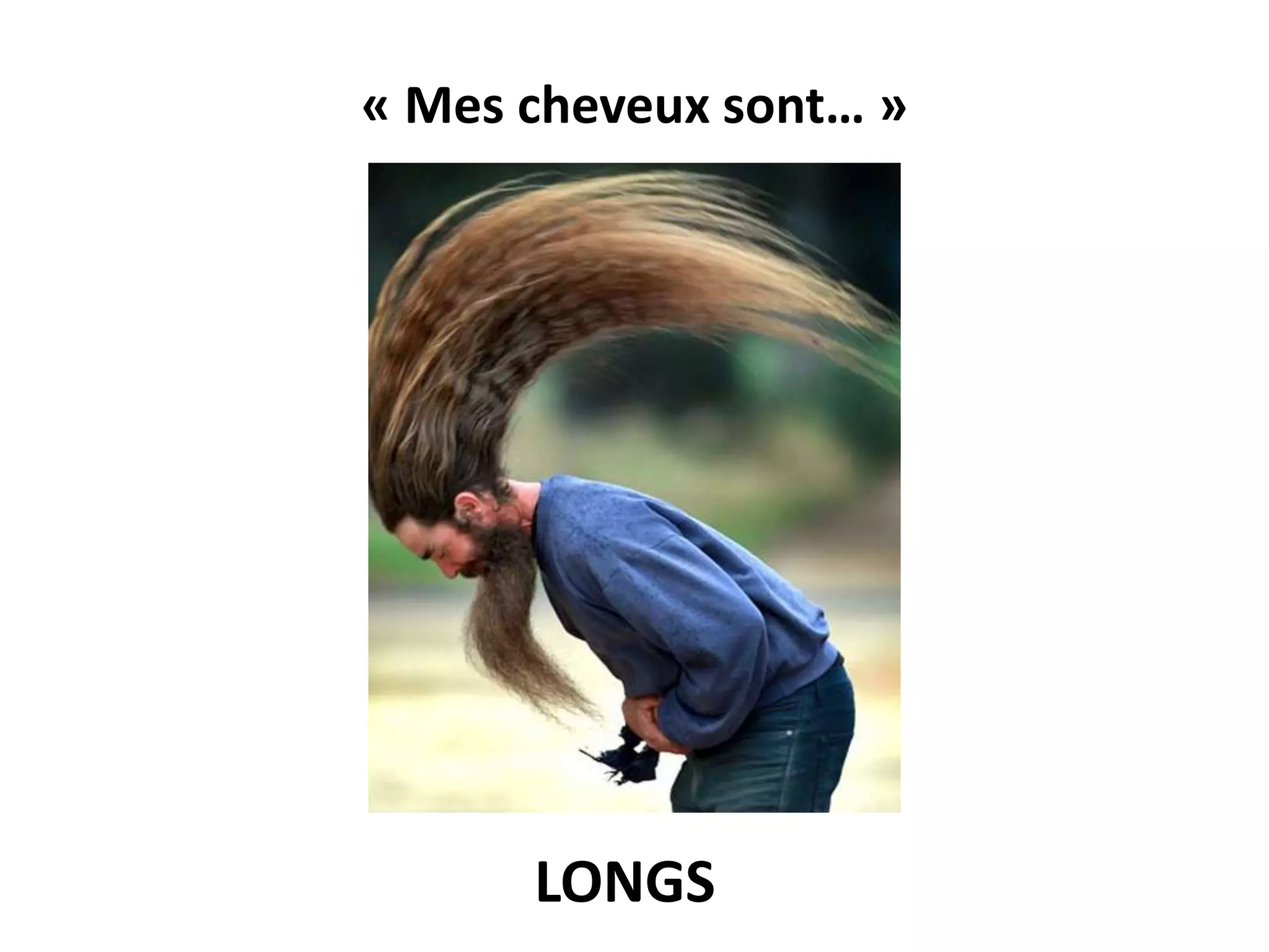 « Mes cheveux sont… »
LONGS