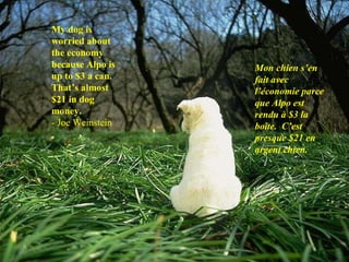 My dog is worried about the economy because Alpo is up to $3 a can. That’s almost $21 in dog money. - Joe Weinstein Mon chien s’en fait avec l’économie parce que Alpo est rendu à $3 la boîte.  C’est presque $21 en argent chien. 