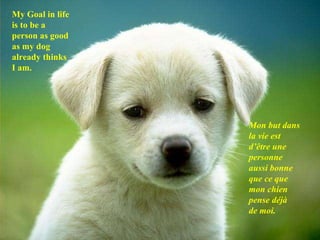My Goal in life is to be a person as good as my dog already thinks I am. Mon but dans la vie est d’être une personne aussi bonne que ce que mon chien pense déjà de moi. 