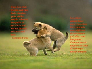 Dogs love their friends and bite their enemies, quite unlike people, who are incapable of pure love and always have to mix love and hate. - Sigmund Freud Les chiens aiment leurs amis et mordent leurs ennemis, assez différent  des personnes qui, elles, sont incapables d’amour pur et toujours en train de mélanger amour et haine. 