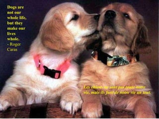 Dogs are not our whole life, but they make our lives whole. - Roger Caras Les chiens ne sont pas toute notre vie, mais ils font de notre vie un tout. 