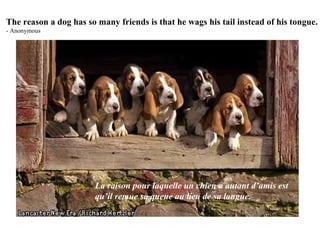 The reason a dog has so many friends is that he wags his tail instead of his tongue. - Anonymous La raison pour laquelle un chien a autant d’amis est qu’il remue sa queue au lieu de sa langue. 