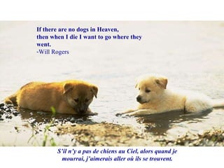 If there are no dogs in Heaven,  then when I die I want to go where they went. Will Rogers S’il n’y a pas de chiens au Ciel, alors quand je mourrai, j’aimerais aller où ils se trouvent. 