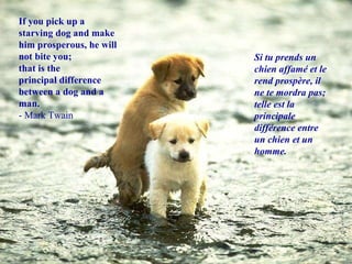 If you pick up a starving dog and make him prosperous, he will not bite you;  that is the principal difference between a dog and a man. - Mark Twain Si tu prends un chien affamé et le rend prospère, il ne te mordra pas; telle est la principale différence entre un chien et un homme. 
