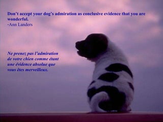 Don’t accept your dog’s admiration as conclusive evidence that you are wonderful. Ann Landers Ne prenez pas l’admiration de votre chien comme étant une évidence absolue que vous êtes merveilleux. 
