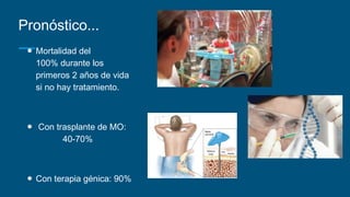 Pronóstico...
● Mortalidad del
100% durante los
primeros 2 años de vida
si no hay tratamiento.
● Con trasplante de MO:
40-70%
● Con terapia génica: 90%
 