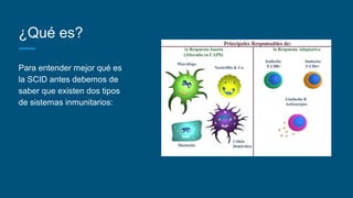 ¿Qué es?
Para entender mejor qué es
la SCID antes debemos de
saber que existen dos tipos
de sistemas inmunitarios:
 