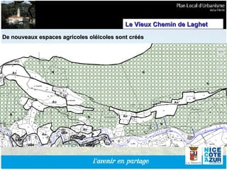 De nouveaux espaces agricoles oléicoles sont créés Le Vieux Chemin de Laghet 