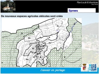 De nouveaux espaces agricoles oléicoles sont créés Spraes 