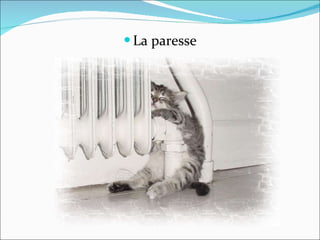La paresse