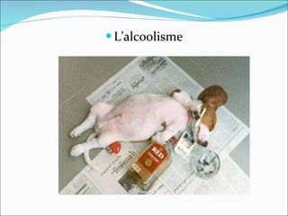 L’alcoolisme